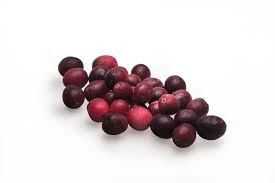 Front of zip tote bag with white canvas, black canvas straps and handle, and black zipper pulls.